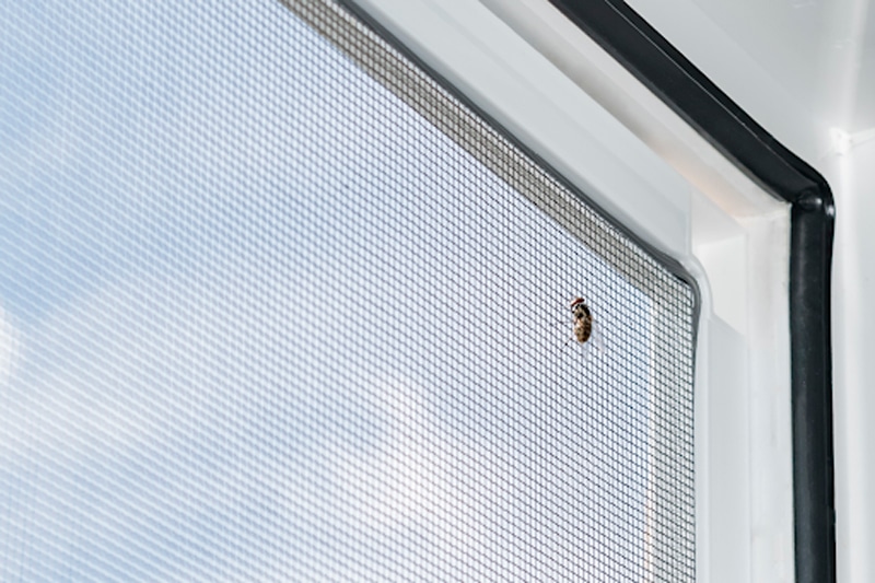 elegir una mosquitera para tu vivienda